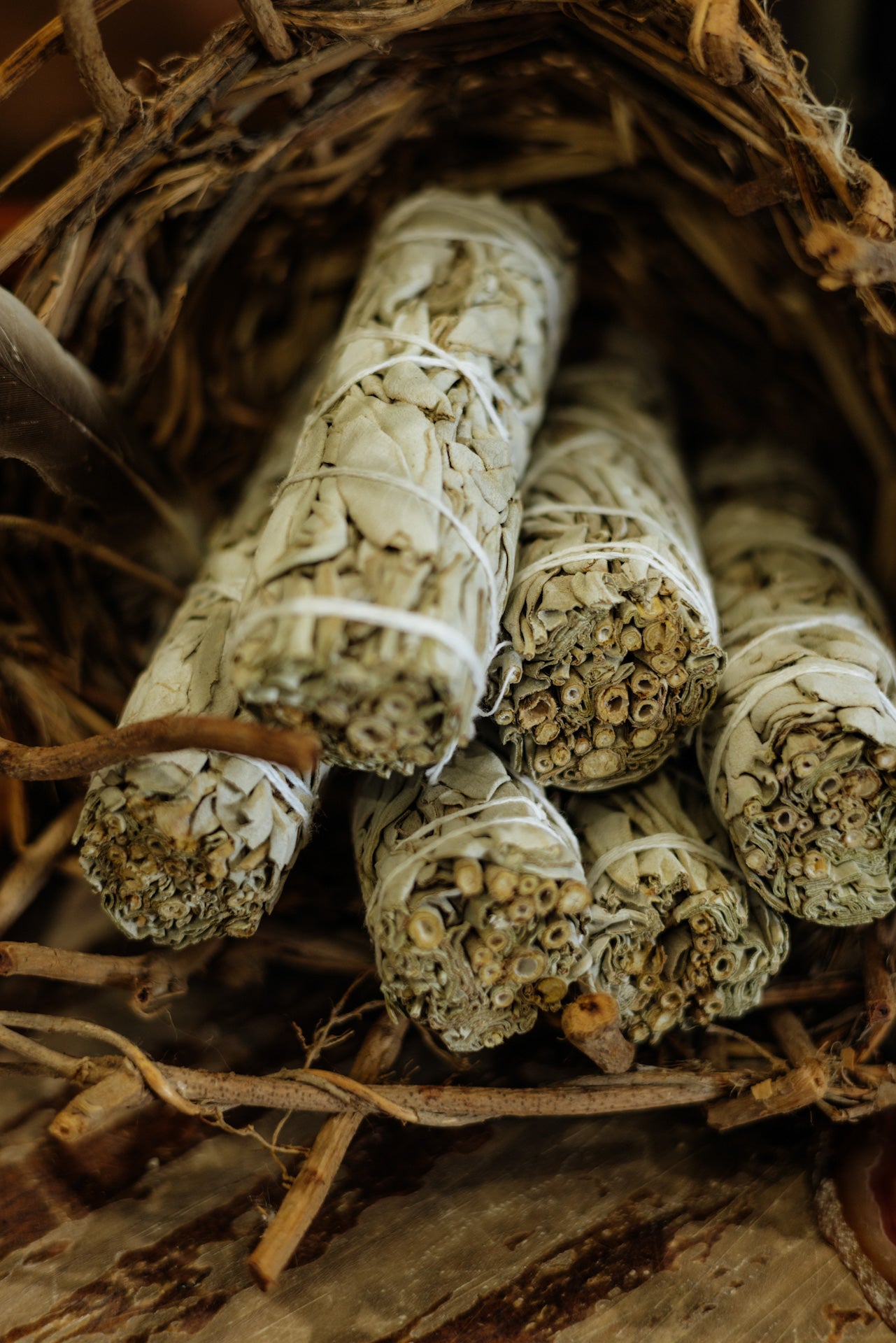 Sage Bundle