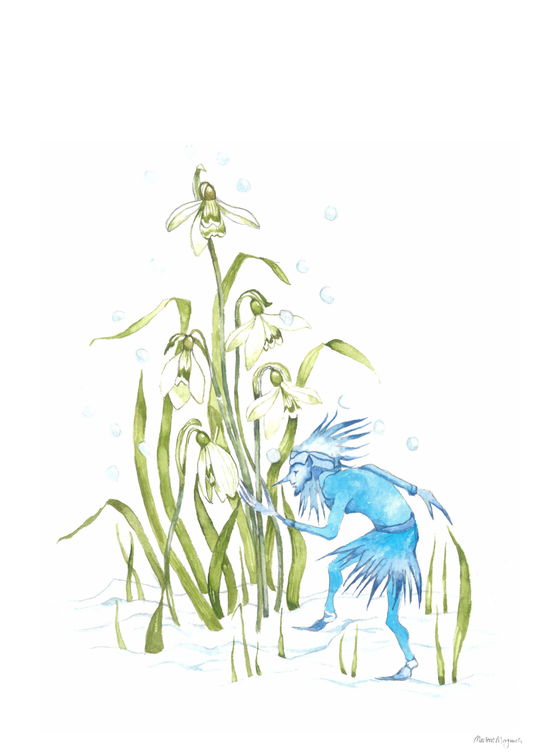 Snowdrop