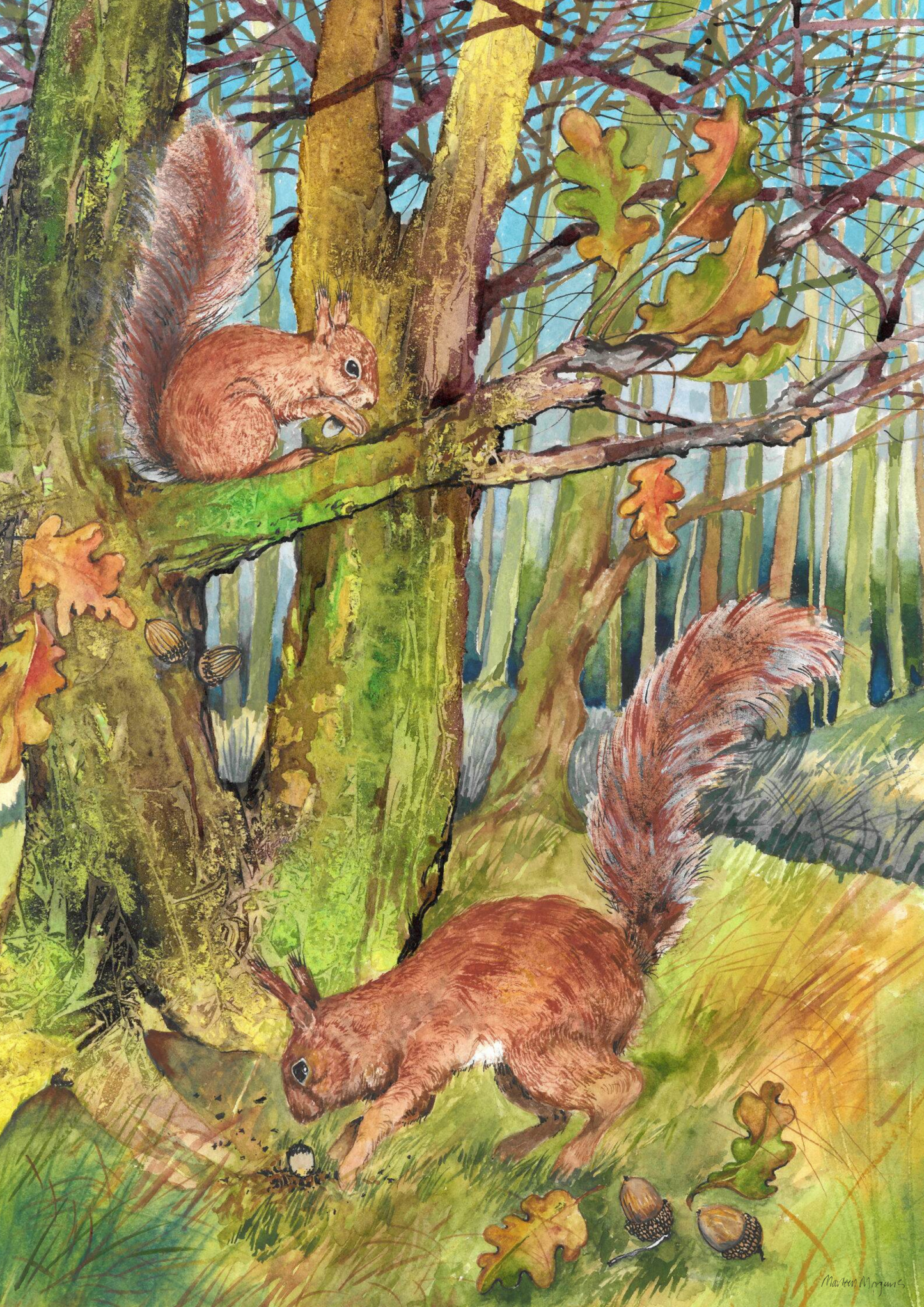 Squirrel