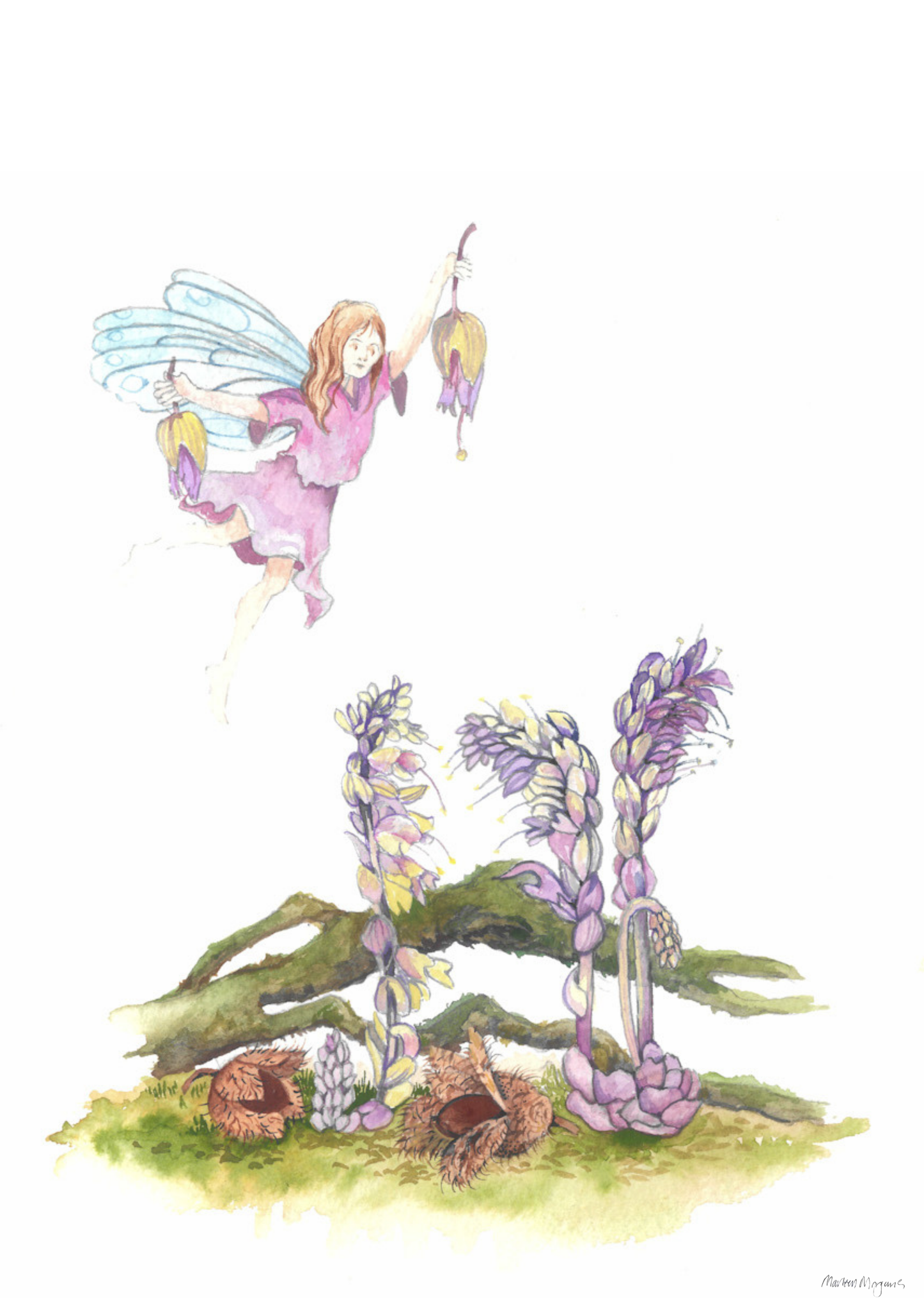 Toothwort