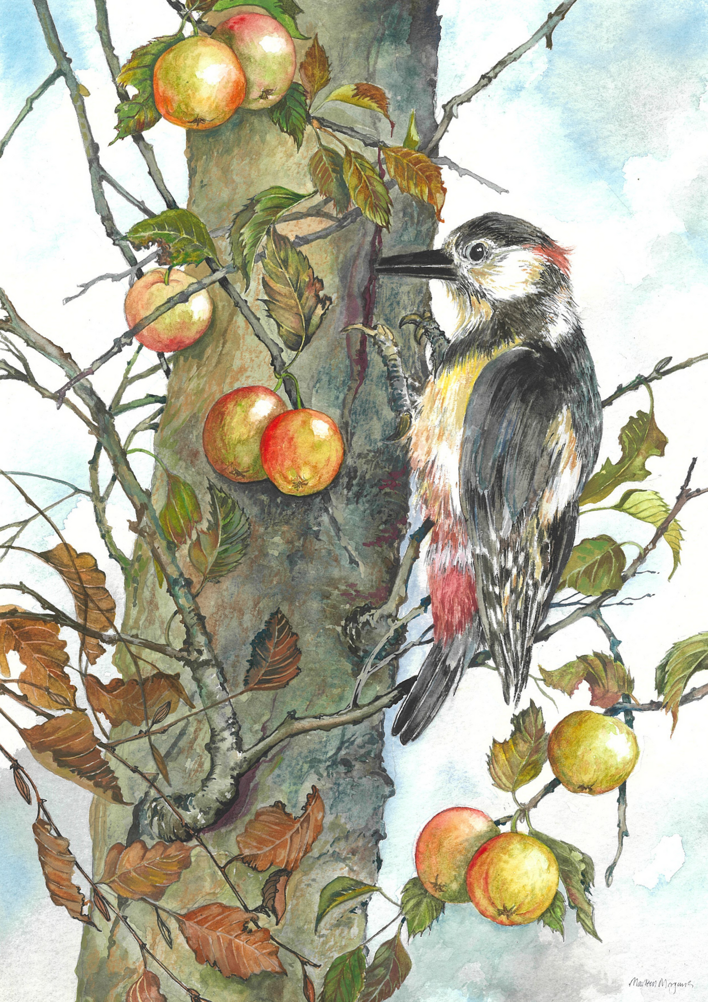 Woodpecker