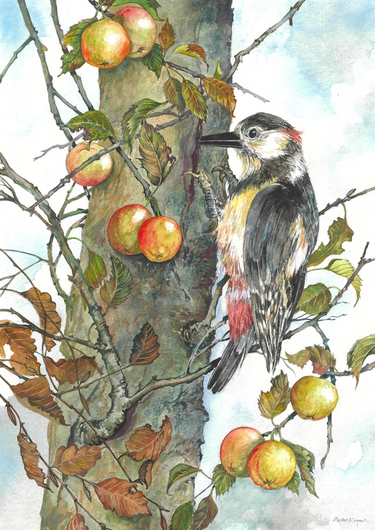 Woodpecker