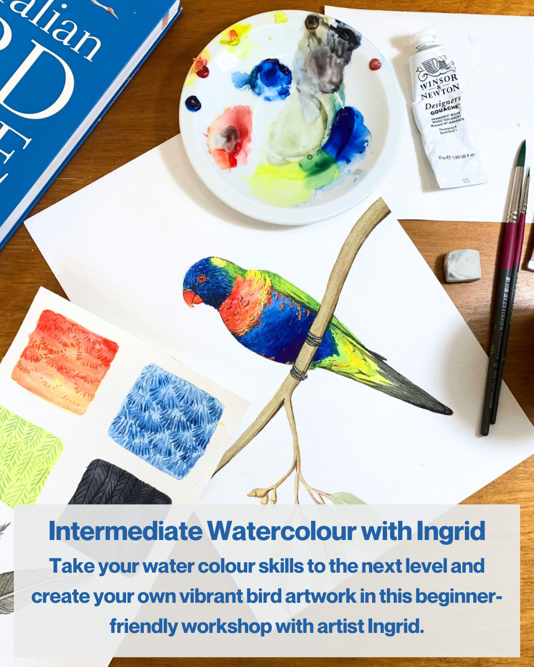 Sat 13th June 10am - 1pm - Watercolour Lorikeet - Watercolour Painting