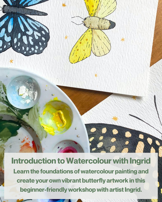 Sat 7th March 2-5pm Watercolour Moth and Butterflies Workshop - Beginner Watercolour and Fineliner Painting