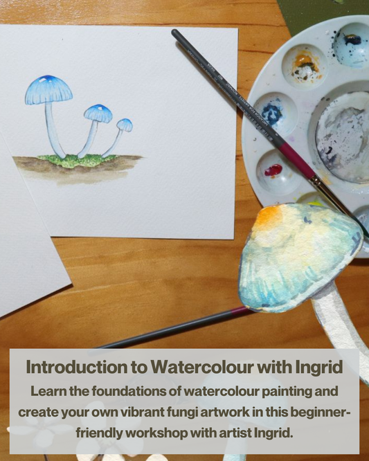 Sat 7th March 10-1pm - Watercolour Fungi Workshop -  Introduction to Watercolour Painting